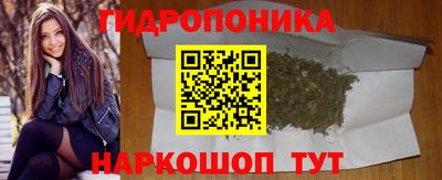 мдпв Гусев