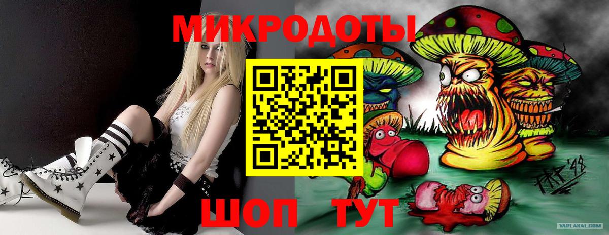 Псилоцибиновые грибы мицелий Надым