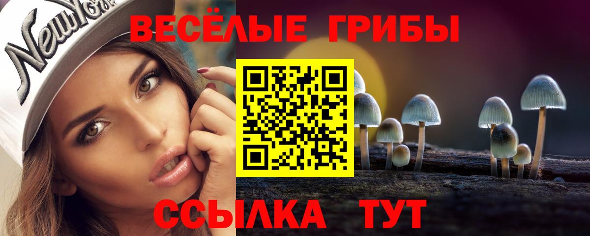 Галлюциногенные грибы Psilocybine cubensis  Галлюциногенные грибы Cubensis  Вход с VPN  Надым 